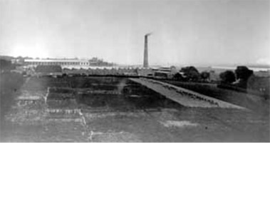 bis1900.jpg bis1900.jpg