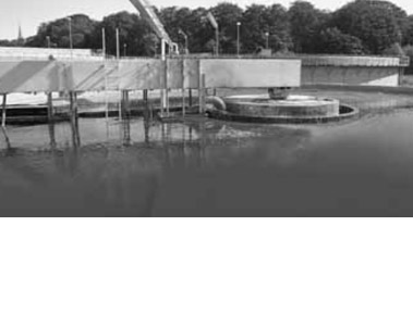 bis1975.jpg bis1975.jpg