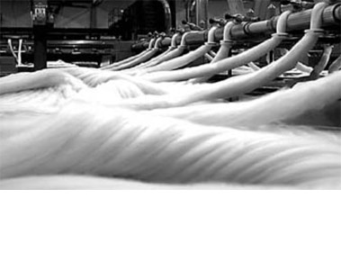 bis2000.jpg bis2000.jpg