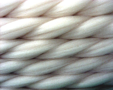 kammzug.jpg kammzug.jpg