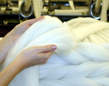 startseite.jpg startseite.jpg