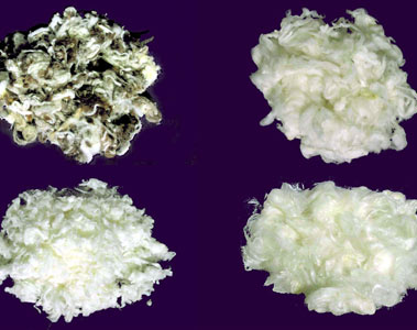 waschwolle.jpg waschwolle.jpg